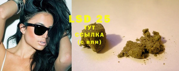 прущий лед Алзамай