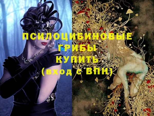 ECSTASY Абинск